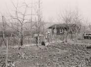 Garten im Jahr 1971