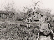 Garten im Jahr 1971