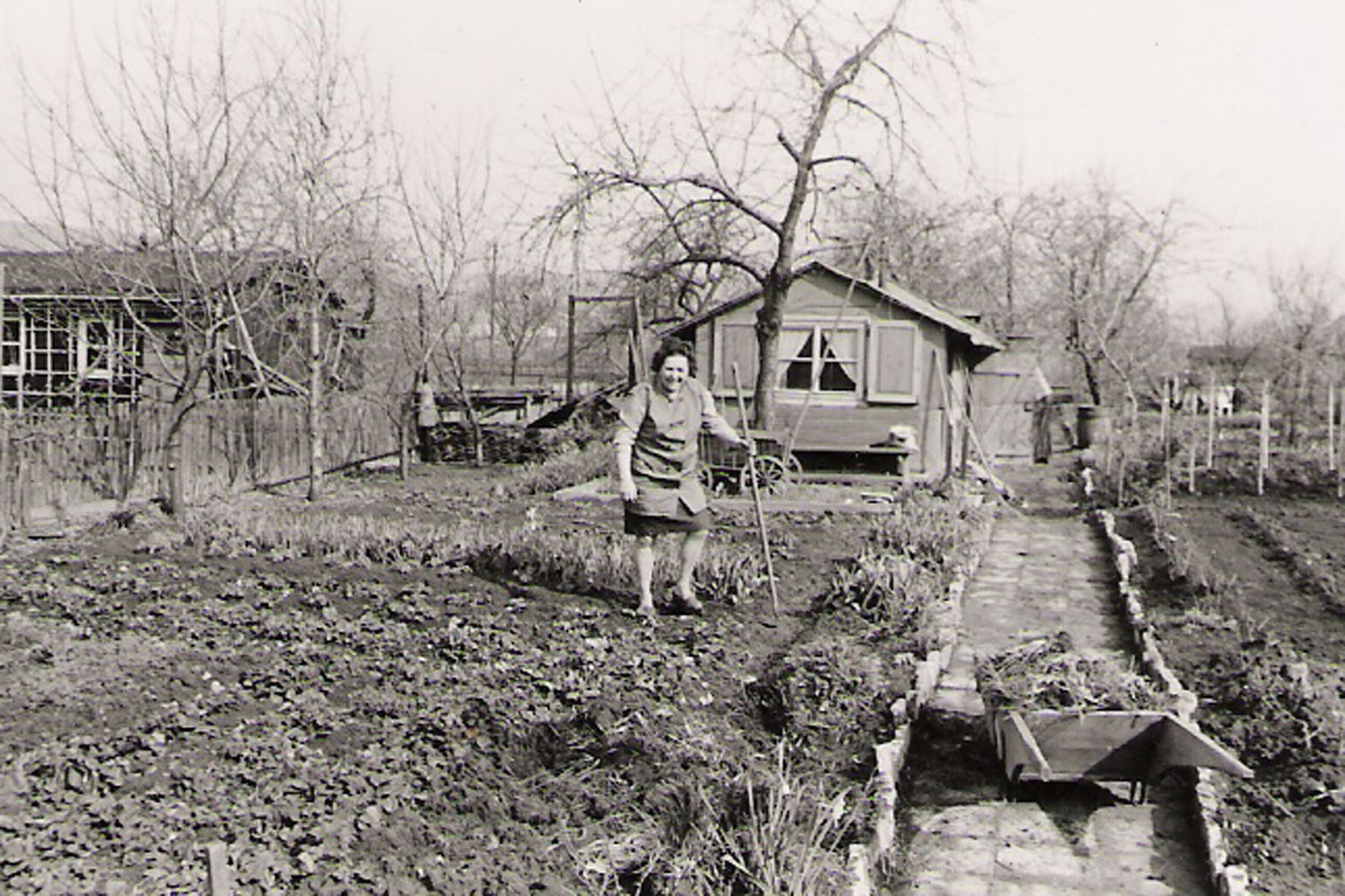Kleingärten Anfang der 70er Jahre-2